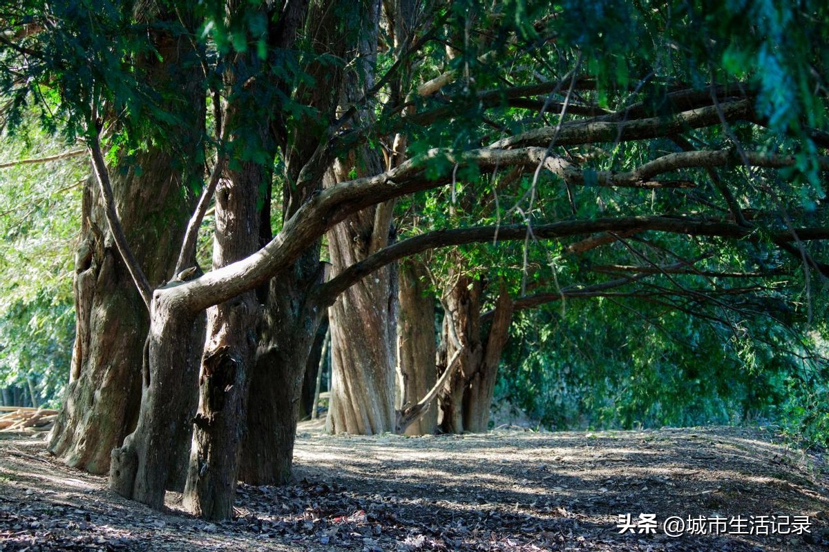 武宁长水旅游,武宁长水景点有哪些