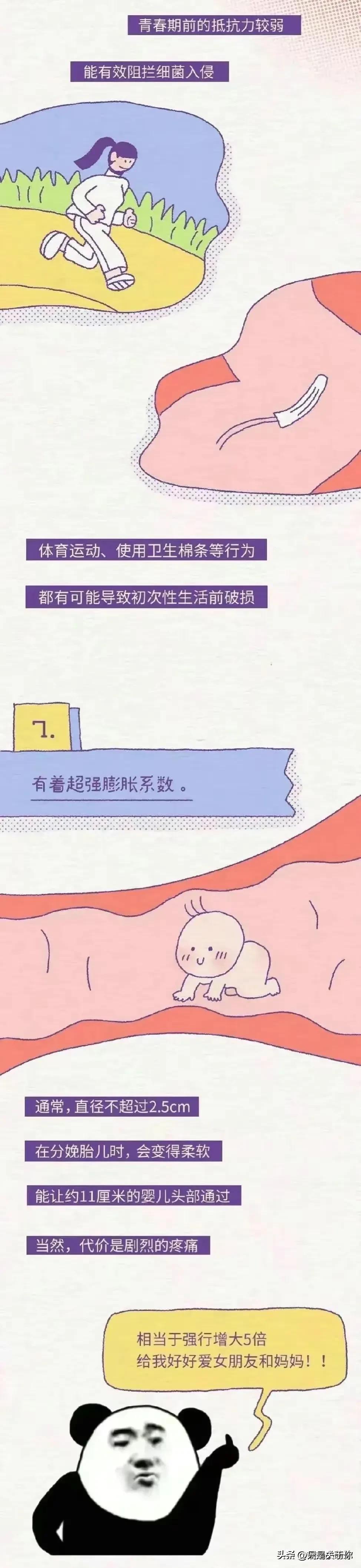 漫画里女孩子的秘密,漫画科普关于女性的12个秘密