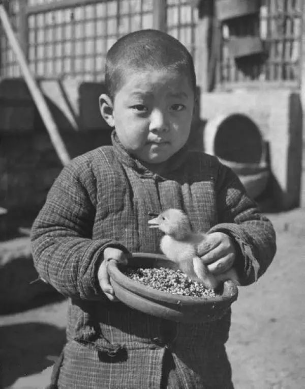 鐧鹃笩楦ｆ槬楂樻竻鍥剧墖,鐧鹃笩楦ｆ槬椋庢櫙瑙嗛