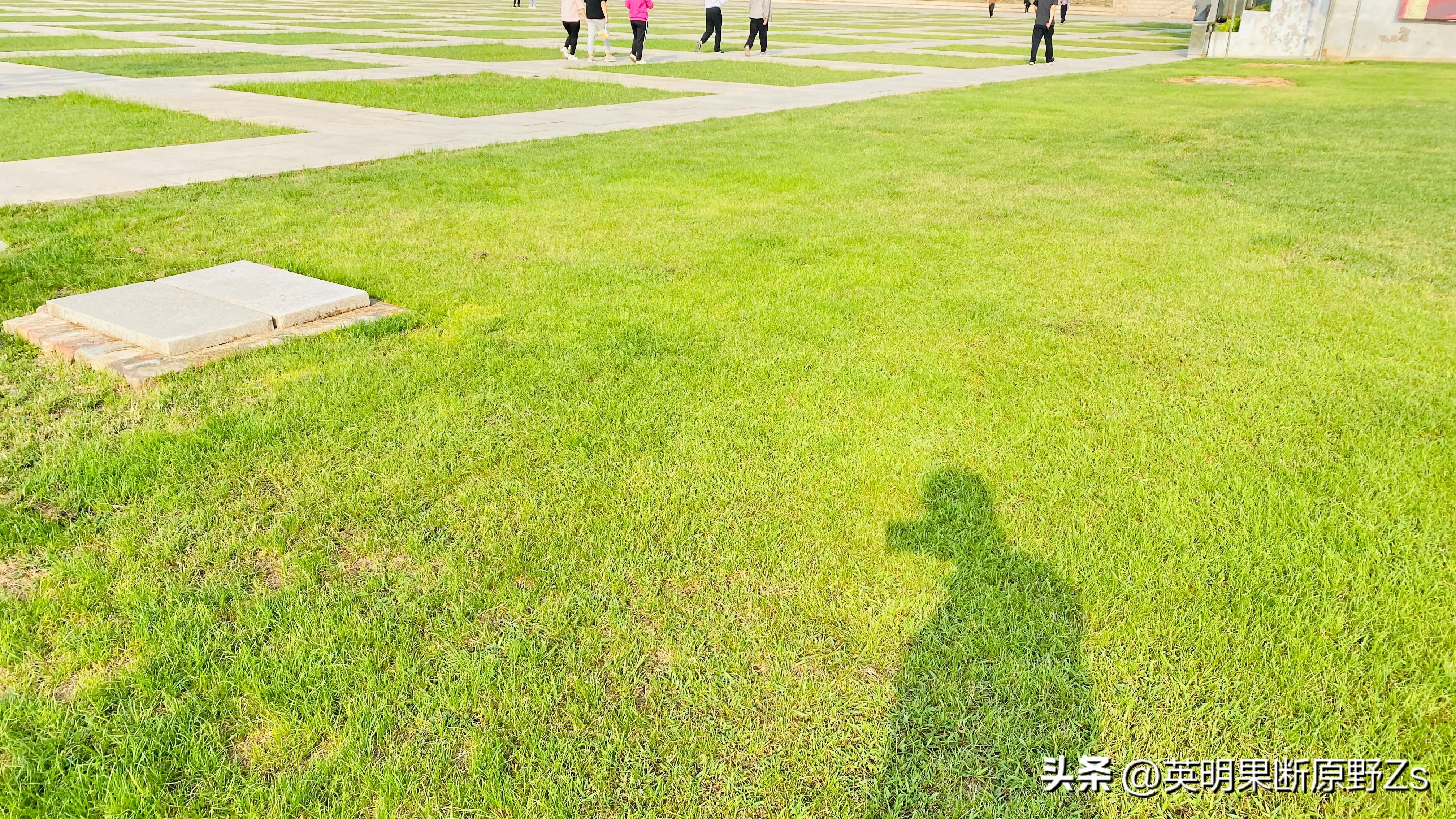 一天挣不到100块钱,1个小时300块钱你会去挣吗