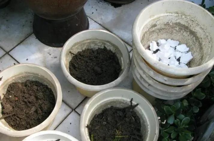 养花时花盆底下的小洞可以堵上吗,花盆下面垫个塑料盆会烂根吗