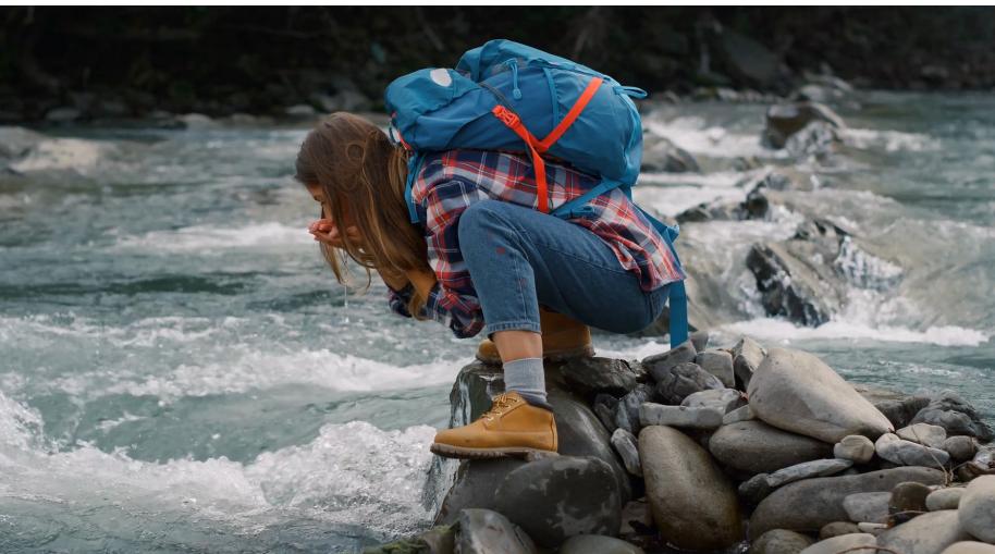 1950年的美国的生化危机,旧金山生化危机