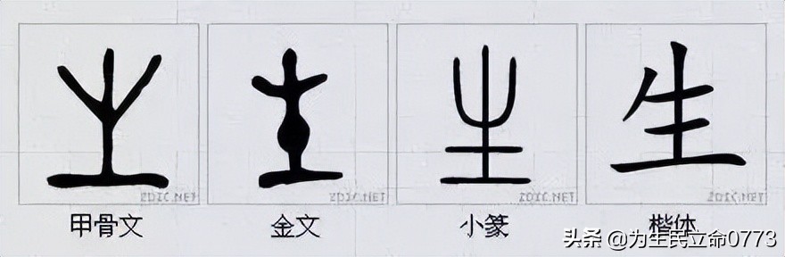 优美有韵味的古中国字,汉字之美合集