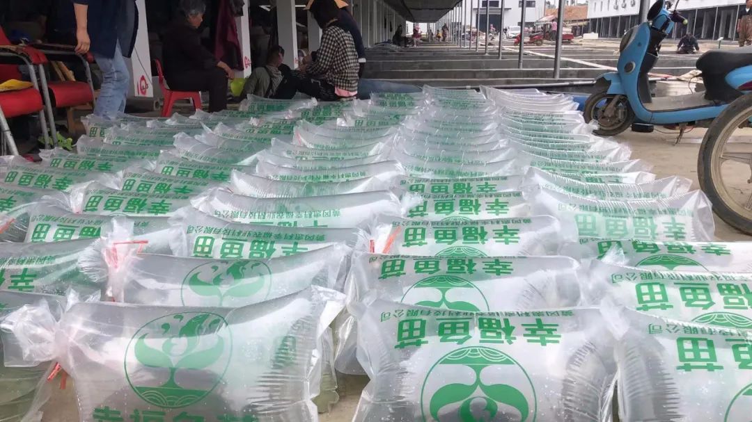 养鱼苗发家致富,鱼苗发展致富案例