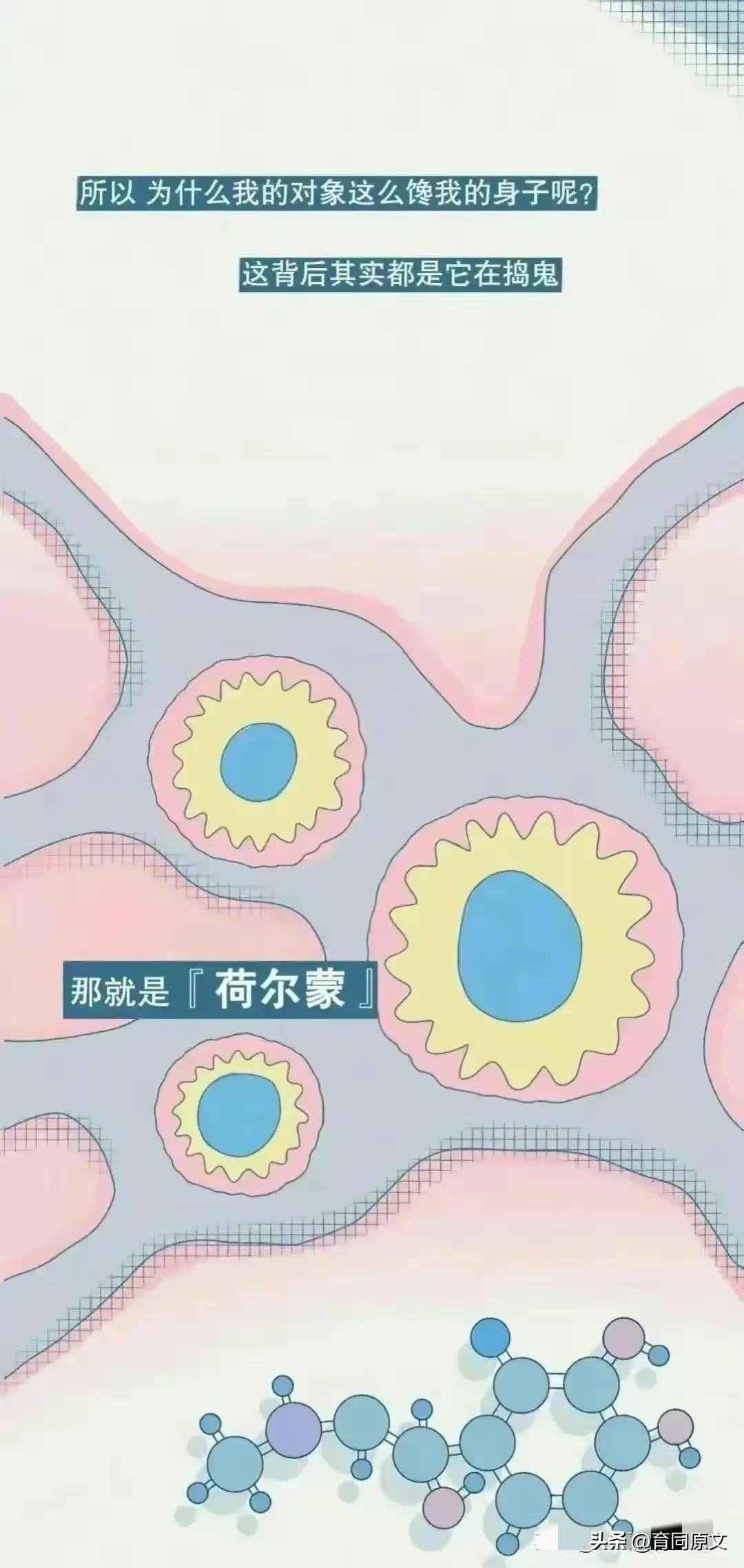 女生分泌荷尔蒙有什么反应,女性荷尔蒙分泌多了会怎样