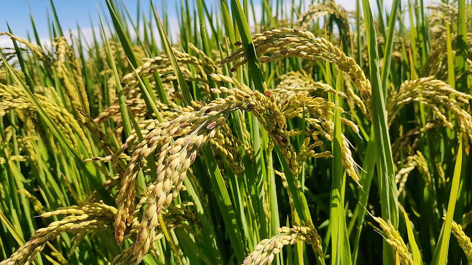 我的自媒体内容创业方法,我的自媒体经验分析