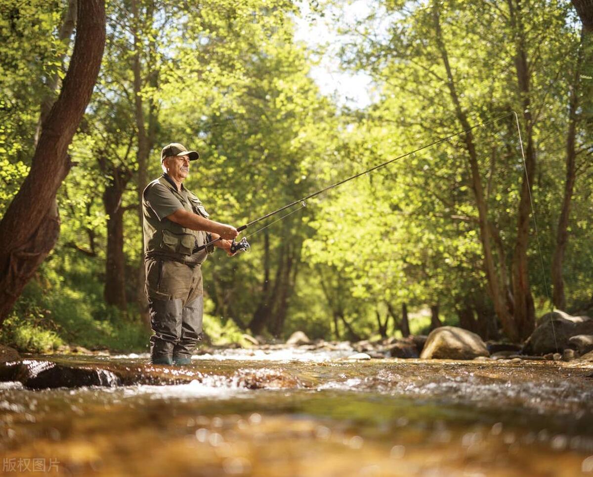 野钓鱼线软硬怎么选,野钓鱼线怎么调整