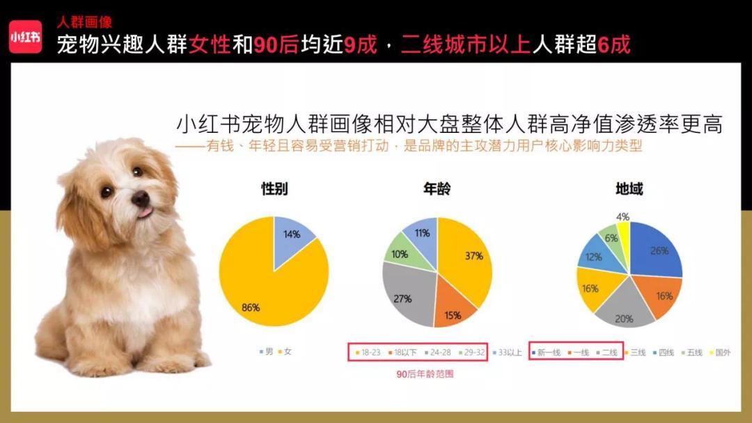 小红书萌宠博主怎么引流,小红书宠物博主5万一个月变现