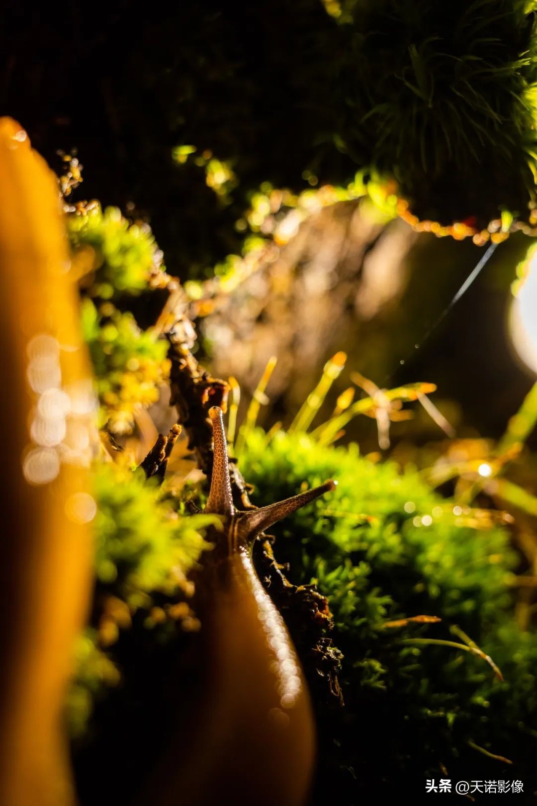 类似理光gr3x相机推荐,理光gr3明星同款