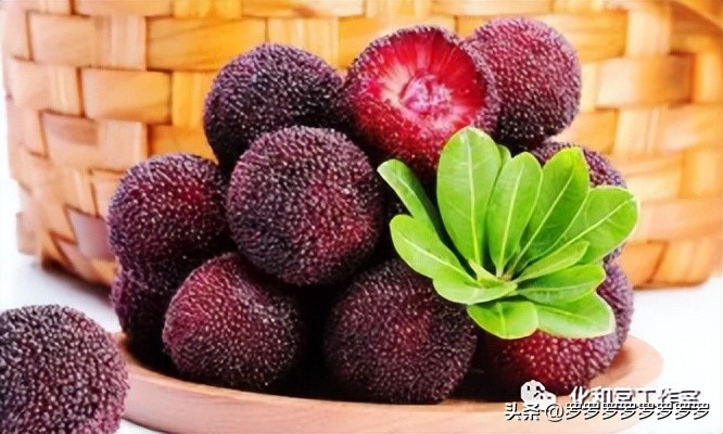 吃杨梅不吐杨梅汁,吃杨梅也不吐气