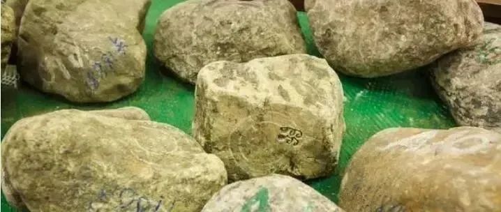 赌石套路,翡翠原石直播间赌石的套路