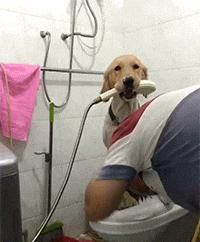 “是小蛇出了轨，还是青蛙劈了腿？”这是现实版的美杜莎？哈哈