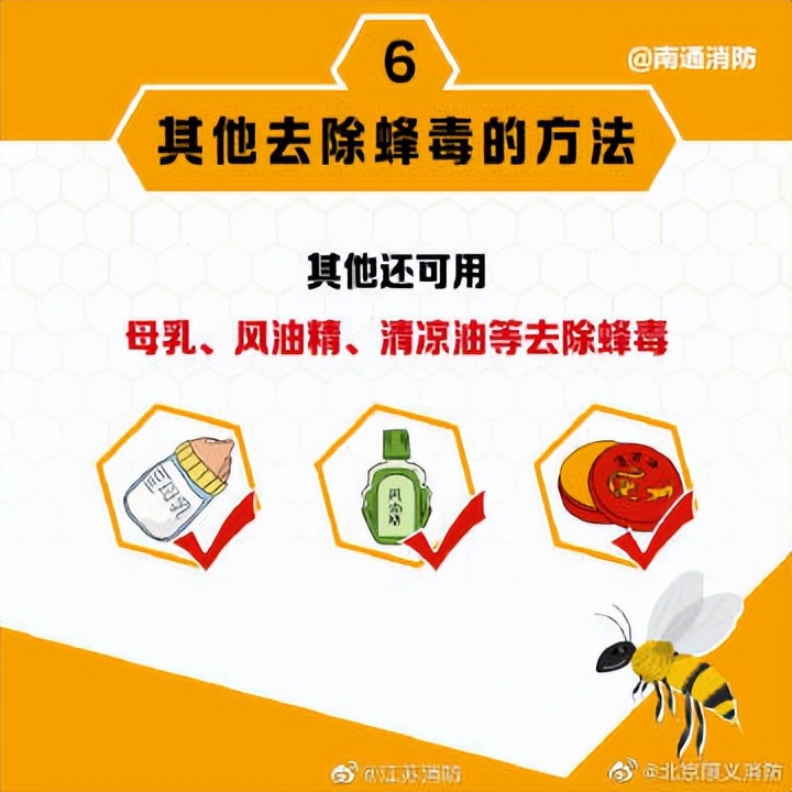 遇到马蜂袭击的视频,被马蜂袭击最快的时间