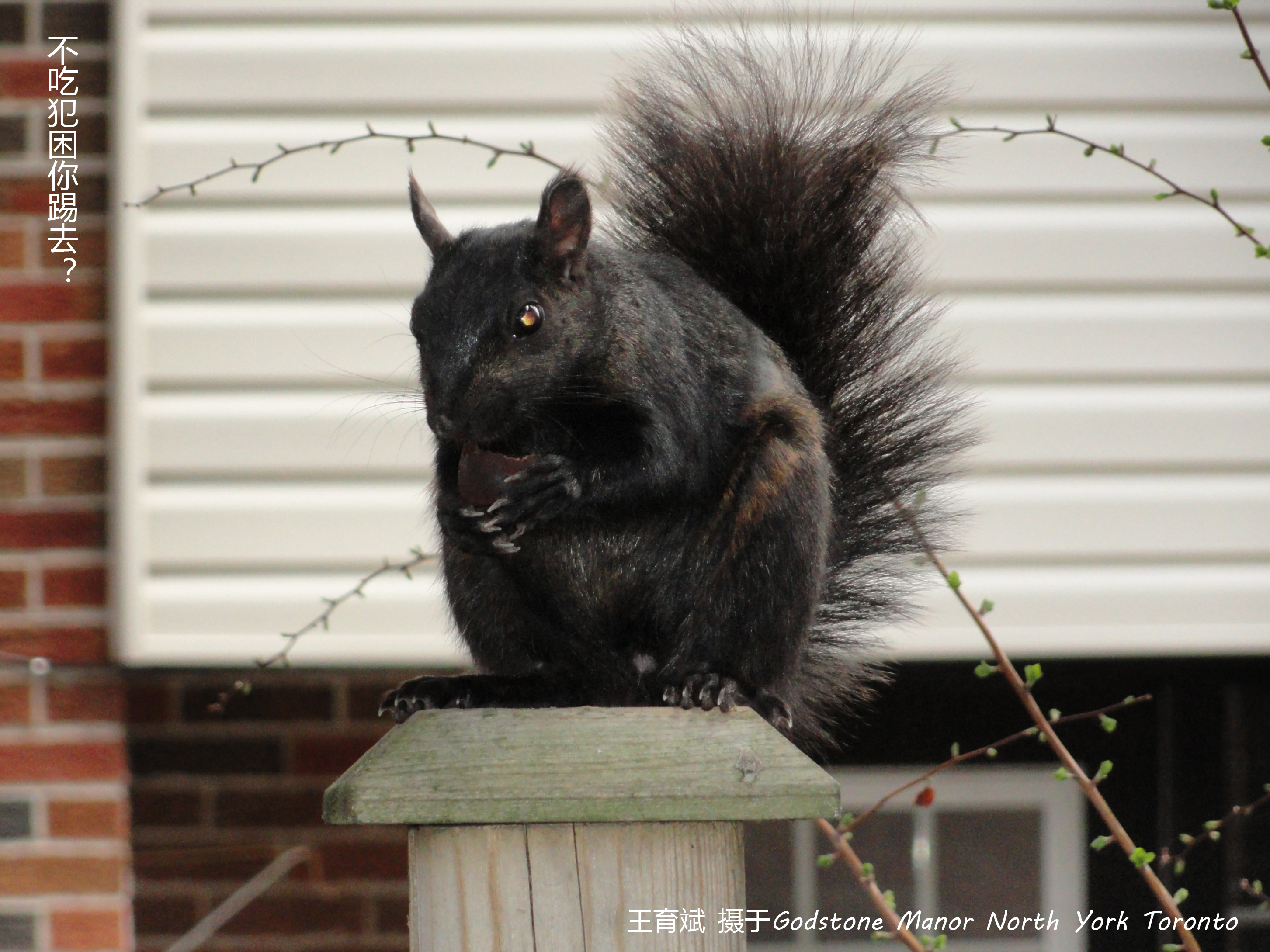 无题自弹自唱原版,无题自悟经典语录
