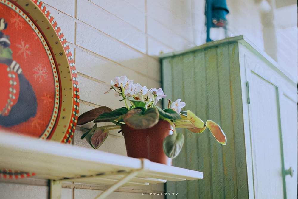 好学微客教育的学员怎么样？好学微客教育的可信度高吗？