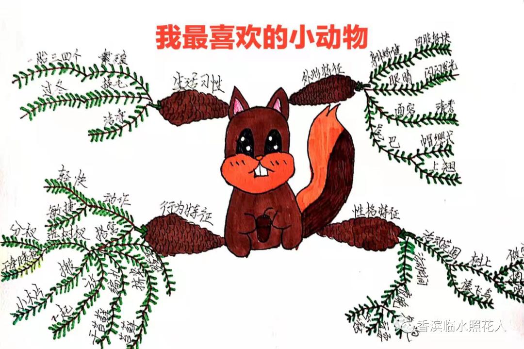 五年级我的心爱之物讲解,五年级我的心爱之物课文写玩具熊