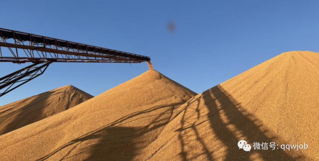 中粮贸易招实习生大型央企工作机会，应聘难度高吗？