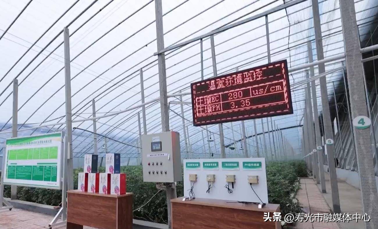 山东寿光高效农业发展情况,寿光农业农村2022年发展