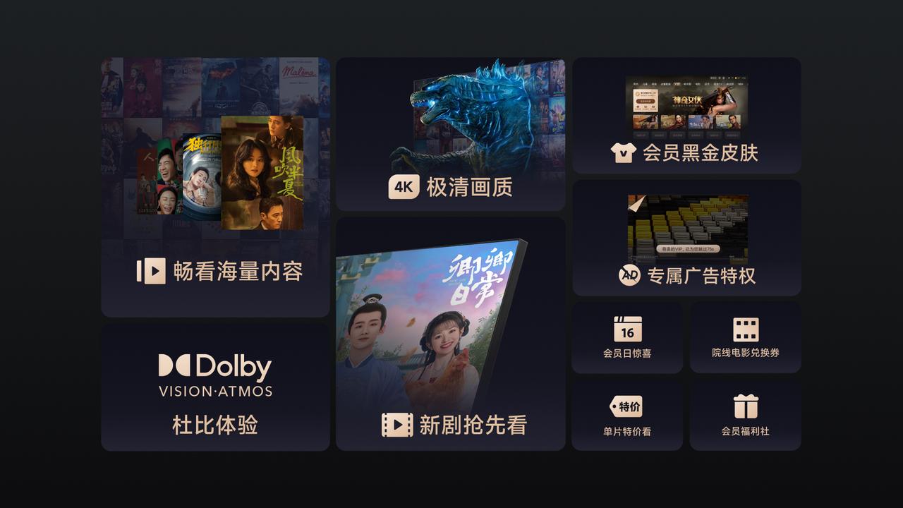 一个会员账号可以两个电视共用吗,小米电视vip影视永久会员