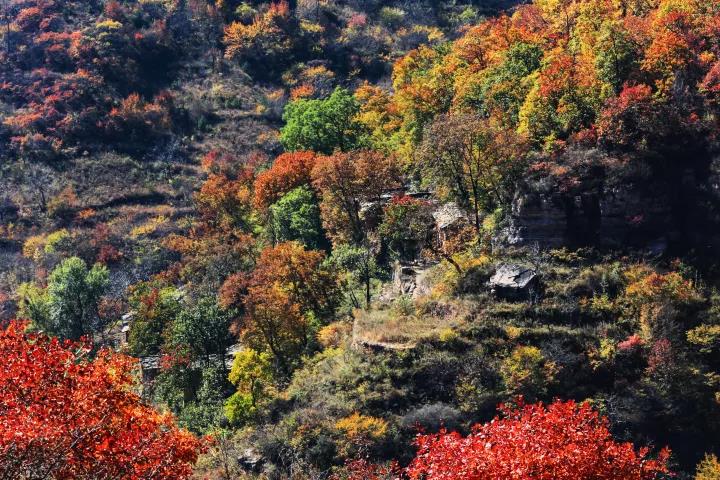涉县羊大垴杨岐山圣水寺,涉县羊大垴海拔多少