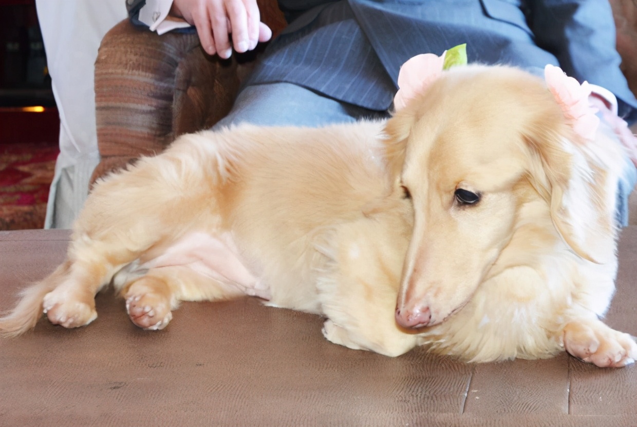 日本富豪暴毙,日本富翁结婚三个月死亡