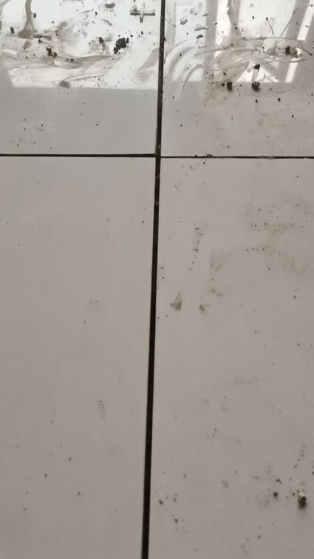 跟大家分享一下装修的坑,装修买瓷砖最怕买到不好的瓷砖