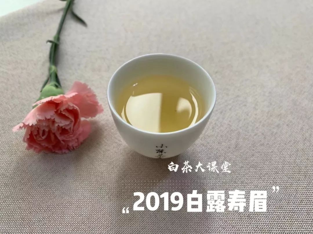 白茶是一种绿茶么,白茶是白的吗