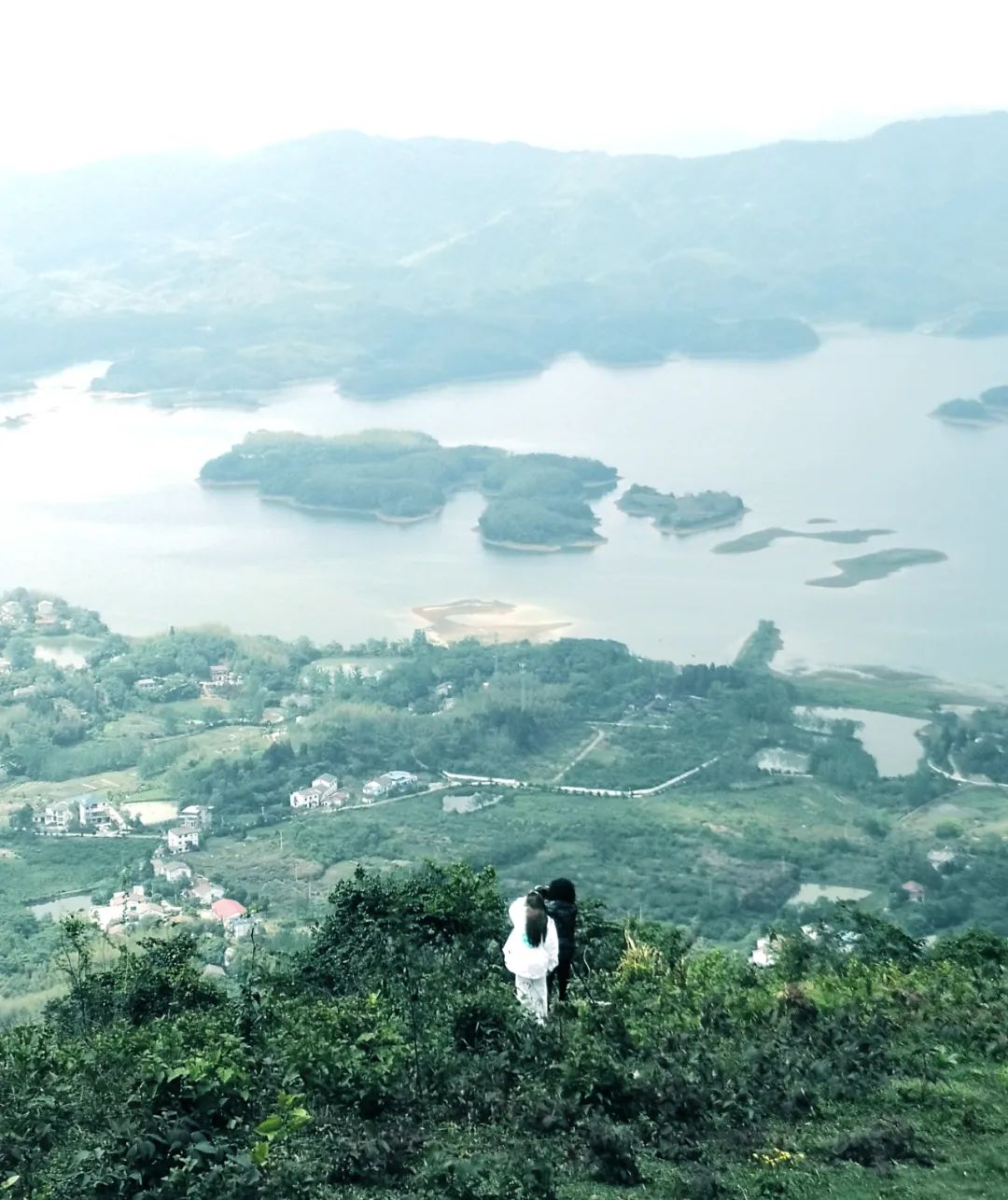 画家未君作品欣赏,画家未君的画价值