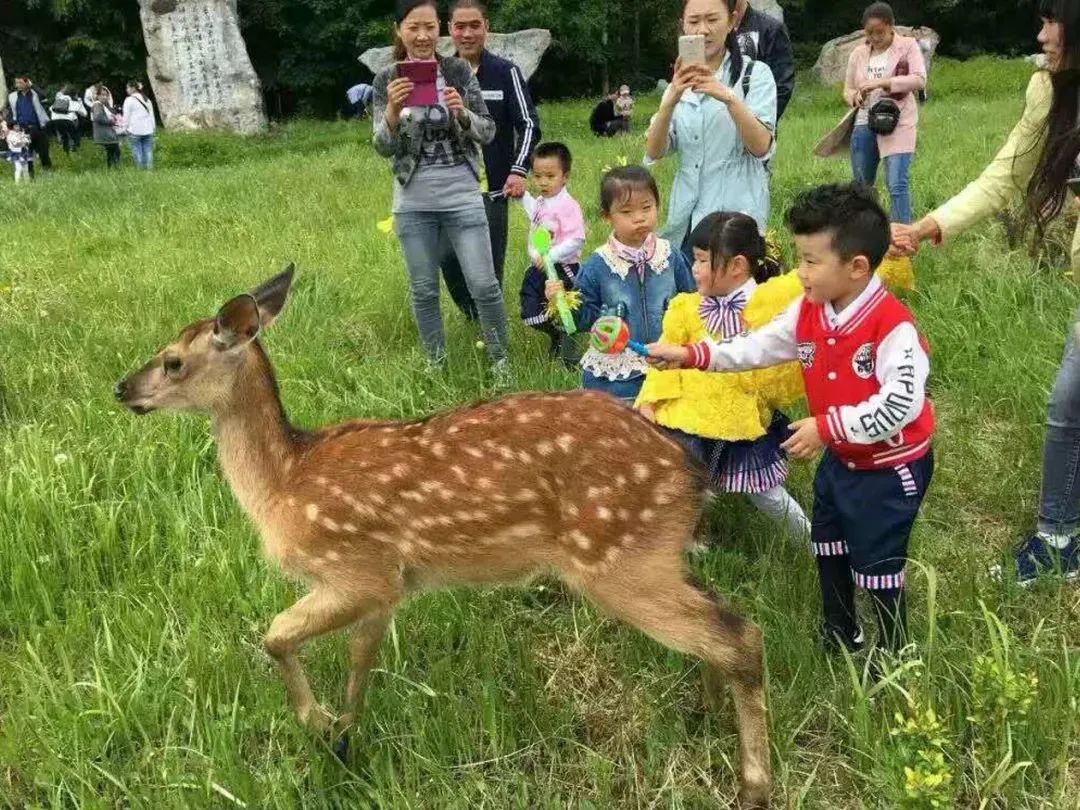 白山市出发五一2-3天短途旅游推荐,冬季白山周边一日游景点大全