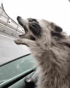 日本推出能让饭菜变咸的电筷子，这下真·重口味了