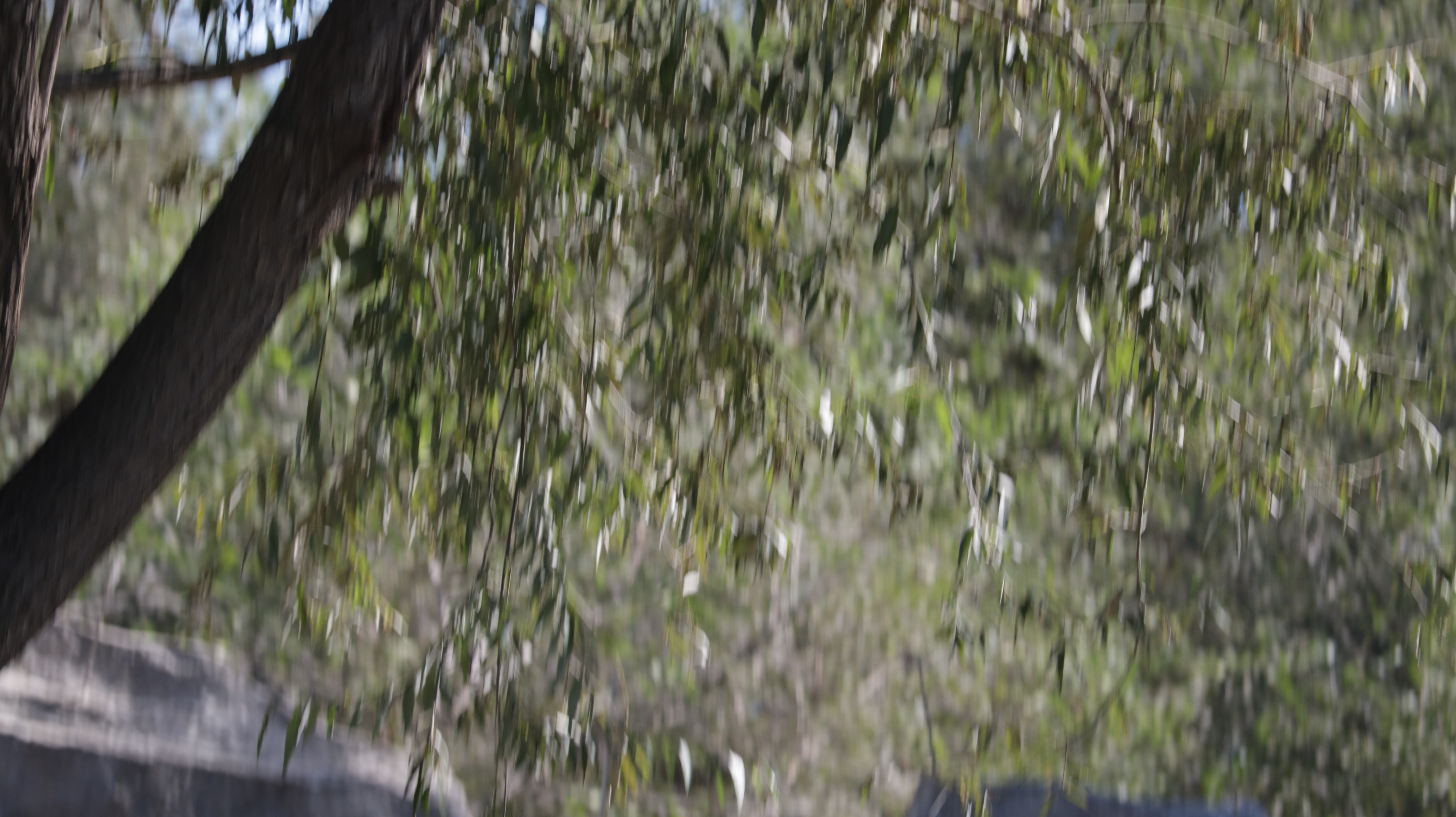 光发心语（F1-F85）：大师之道咏诵「2022年10月5日」#Friendship