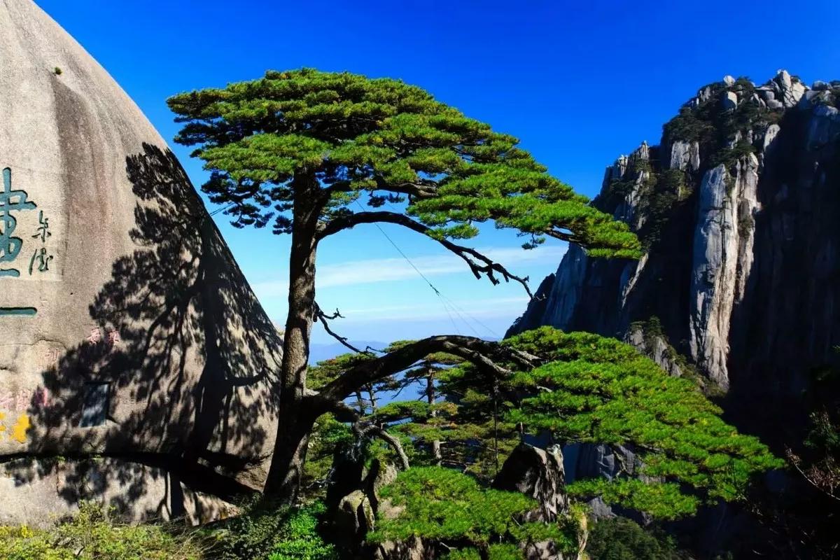 有哪些是你去西藏才知道的事,有哪些是你去了安徽才知道的事情