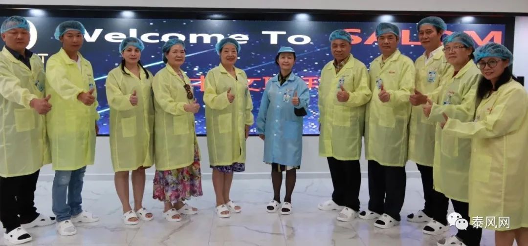 泰华女企业家卢嫣打造“天龙电子”企业泰中文联拜访团参观取经