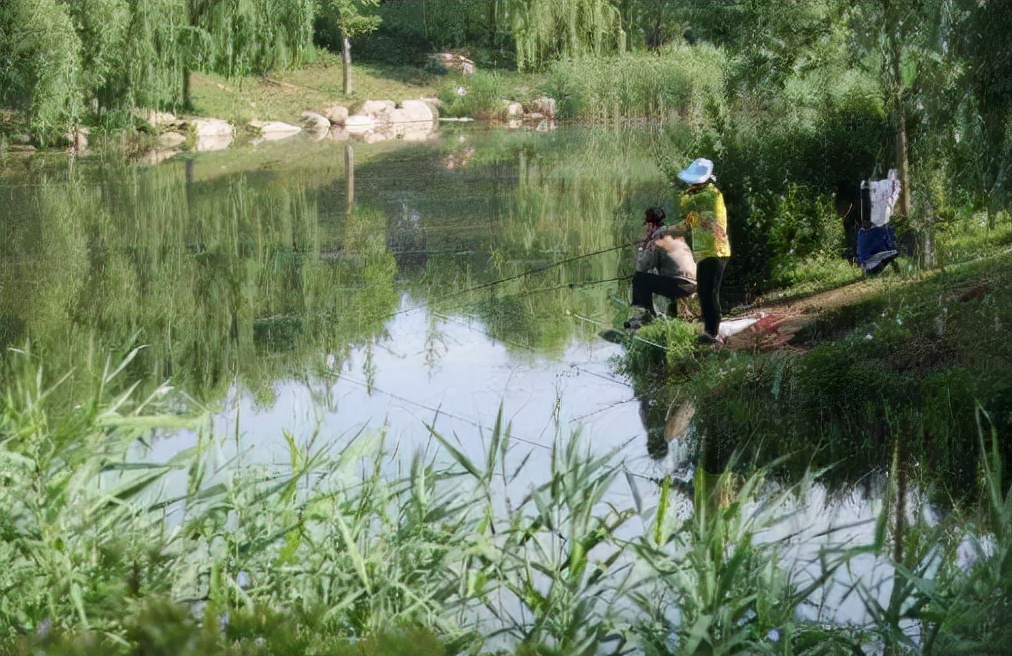 十大常见的小河鱼,农村河里常见的十种小野鱼