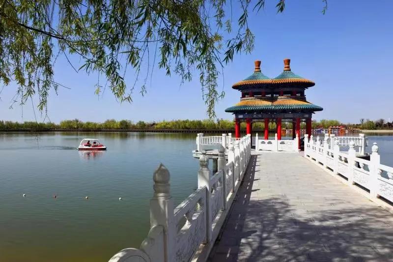 老科协喜迎二十大演唱会掠影,大荔县老科协