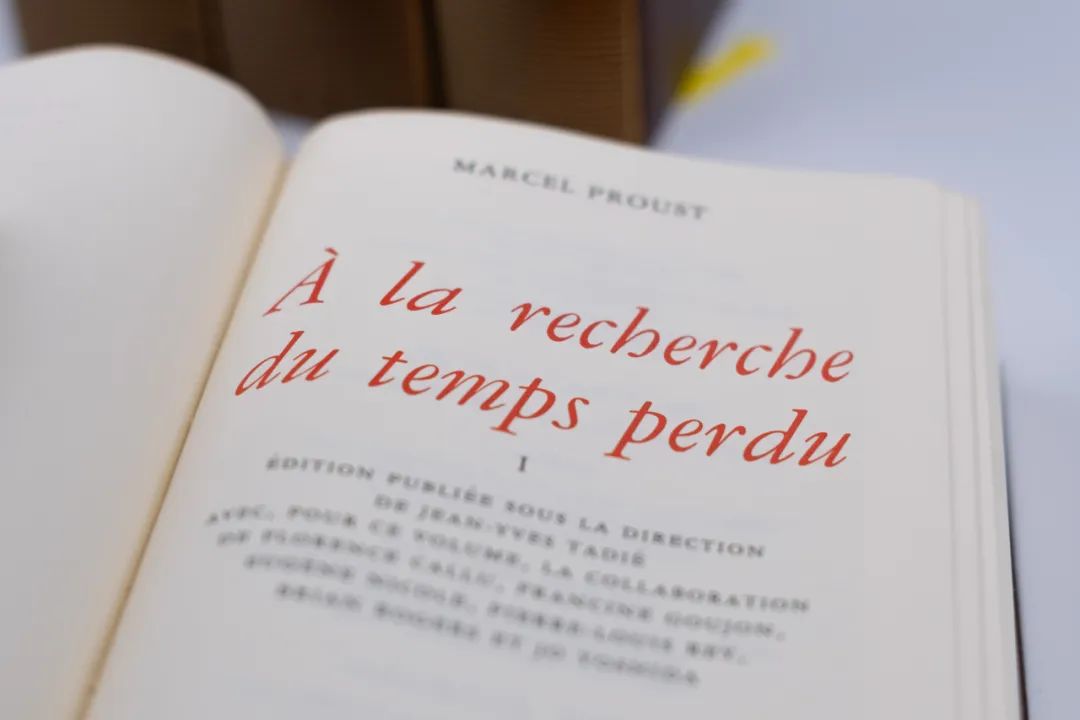 十年之约，中文世界首个《追忆似水年华》独立全新译本出版