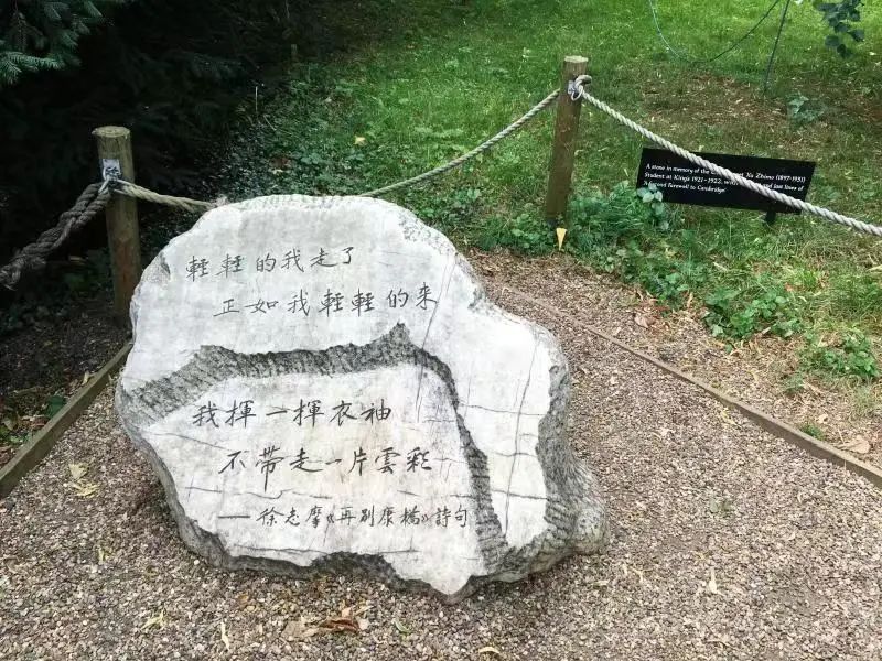 金蔷薇故事摘抄,金蔷薇故事