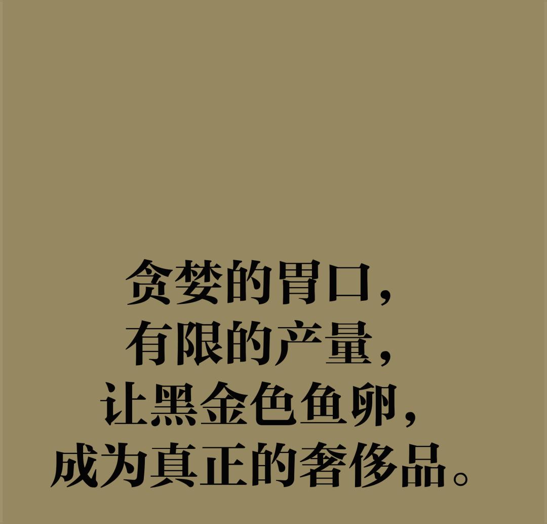 鱼籽酱的阶层跃升拯救了鲟鱼，但人类真的能「支配自然」吗？