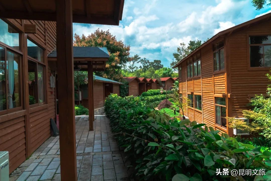 昆明一日游小众打卡景点冬天,小众的昆明周边度假景点