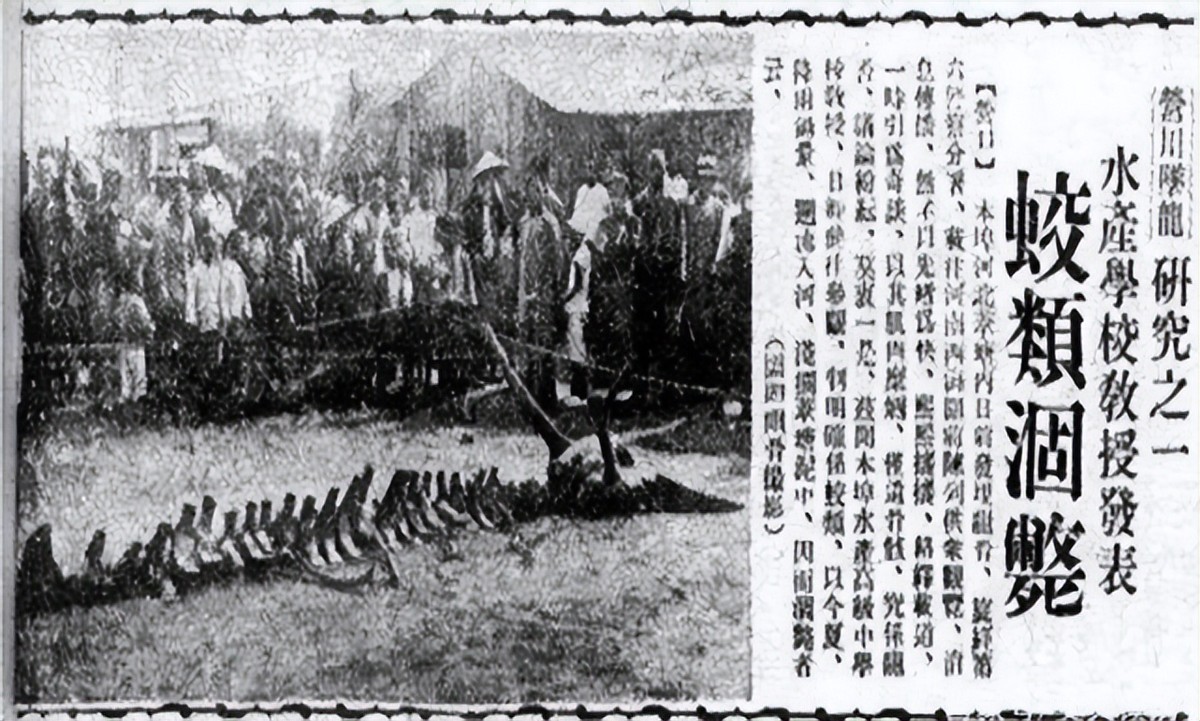 高邮湖出现罕见龙吸水,2007年高邮湖出现龙吸水奇观