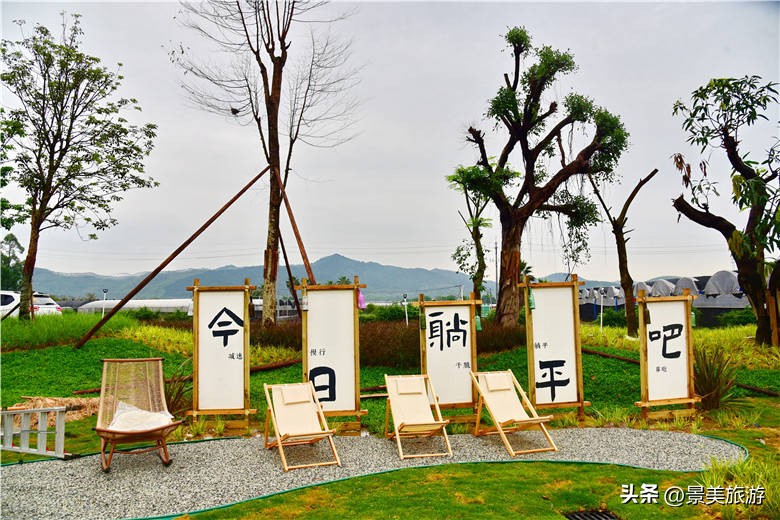 佛山旅游景点攻略,佛山森林公园游玩攻略