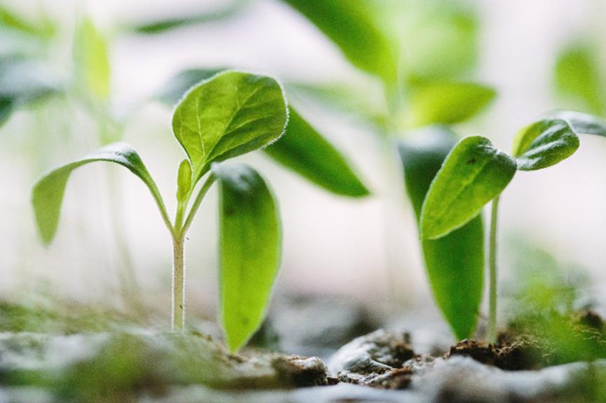 大量元素水溶肥养分辨别,大量元素水溶肥功效用量