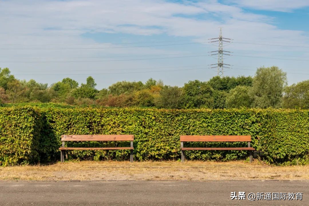 德国被逆转,世界杯外网热议日本2比1逆转德国