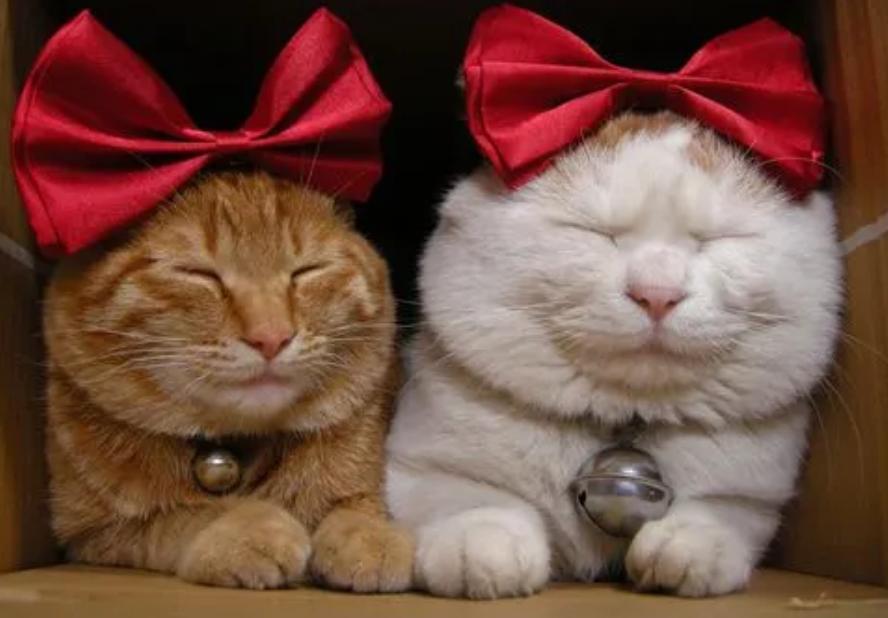 摆脱了脱发的烦恼,脱发真的别折腾了该脱还是脱