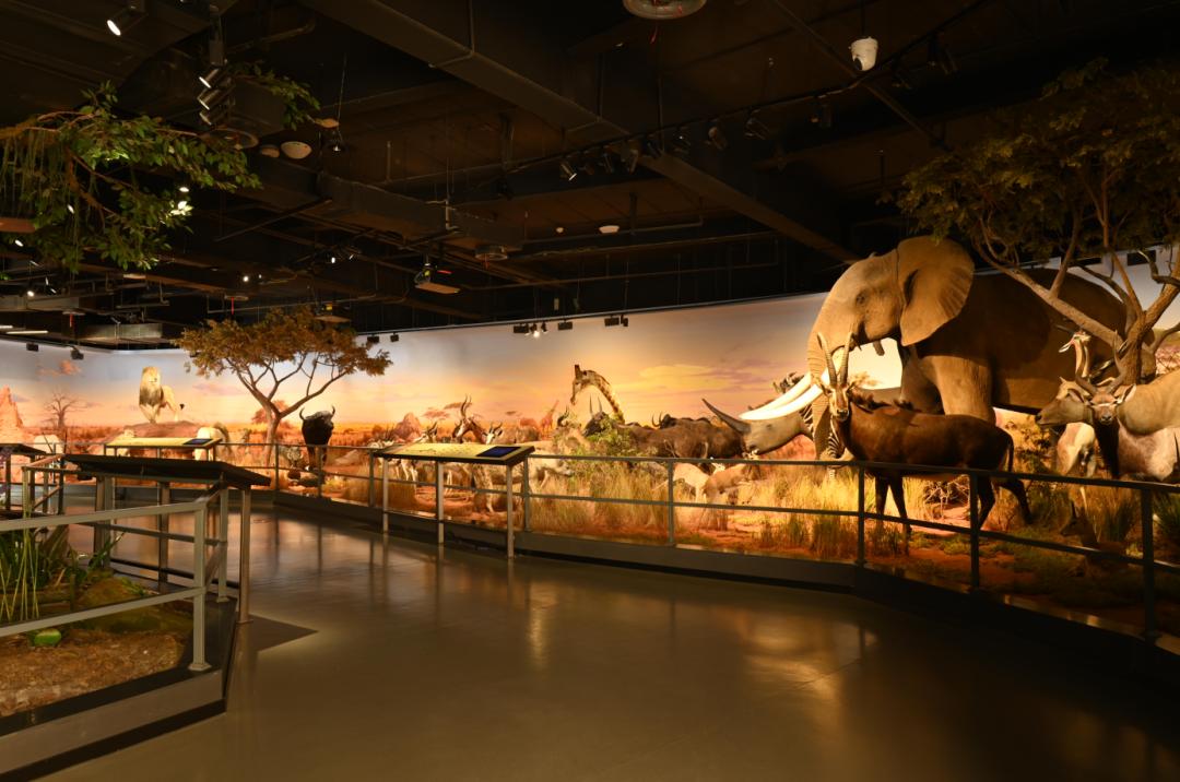 云南高质量跨越式发展,云南创新驱动