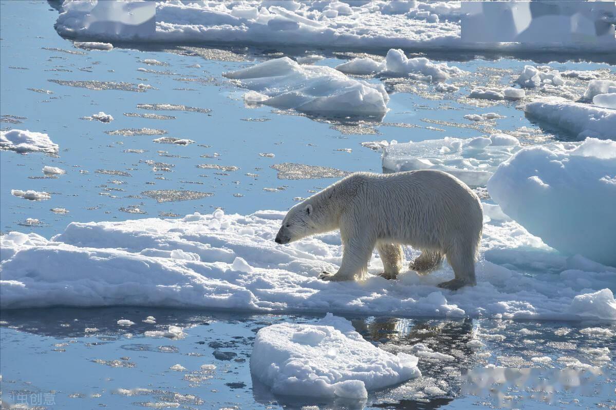 大陆架划界的自然延伸原则,北极大陆架划界的国际法问题研究