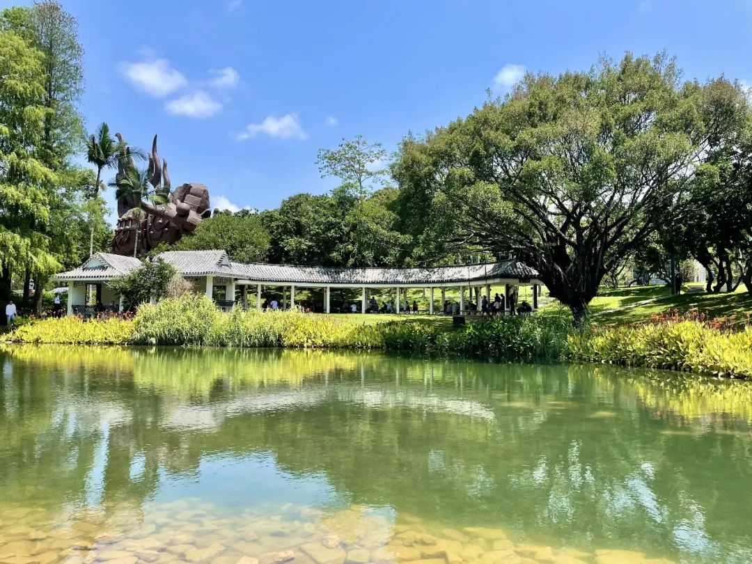 周末森林公园推荐深圳宝安,深圳森林公园登上山顶看美景