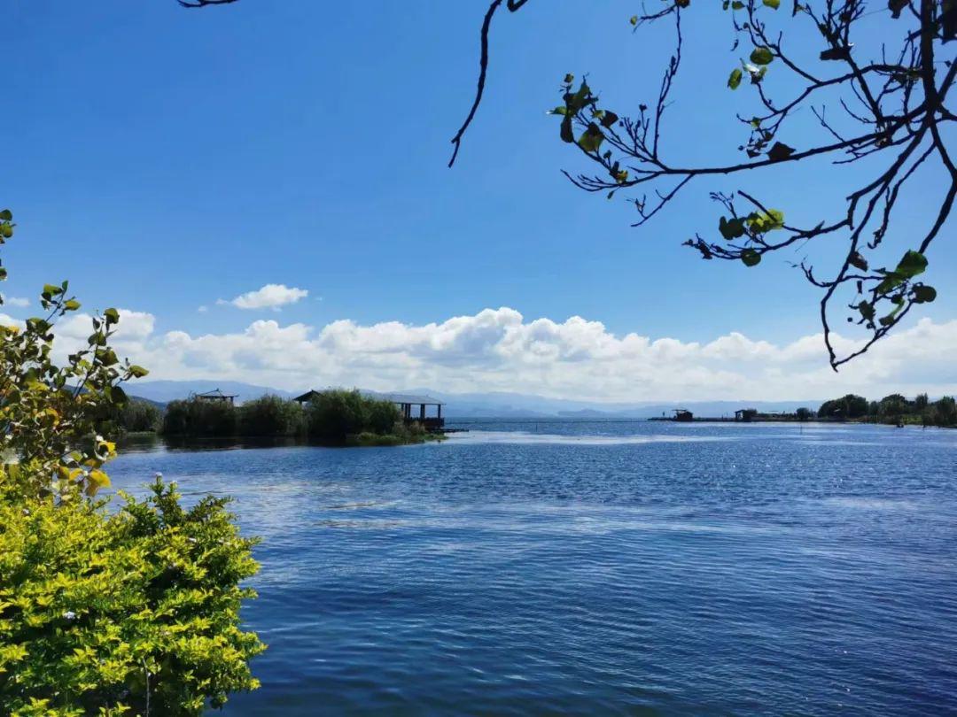 揭露演艺圈潜规则,演艺圈劲爆八卦消息