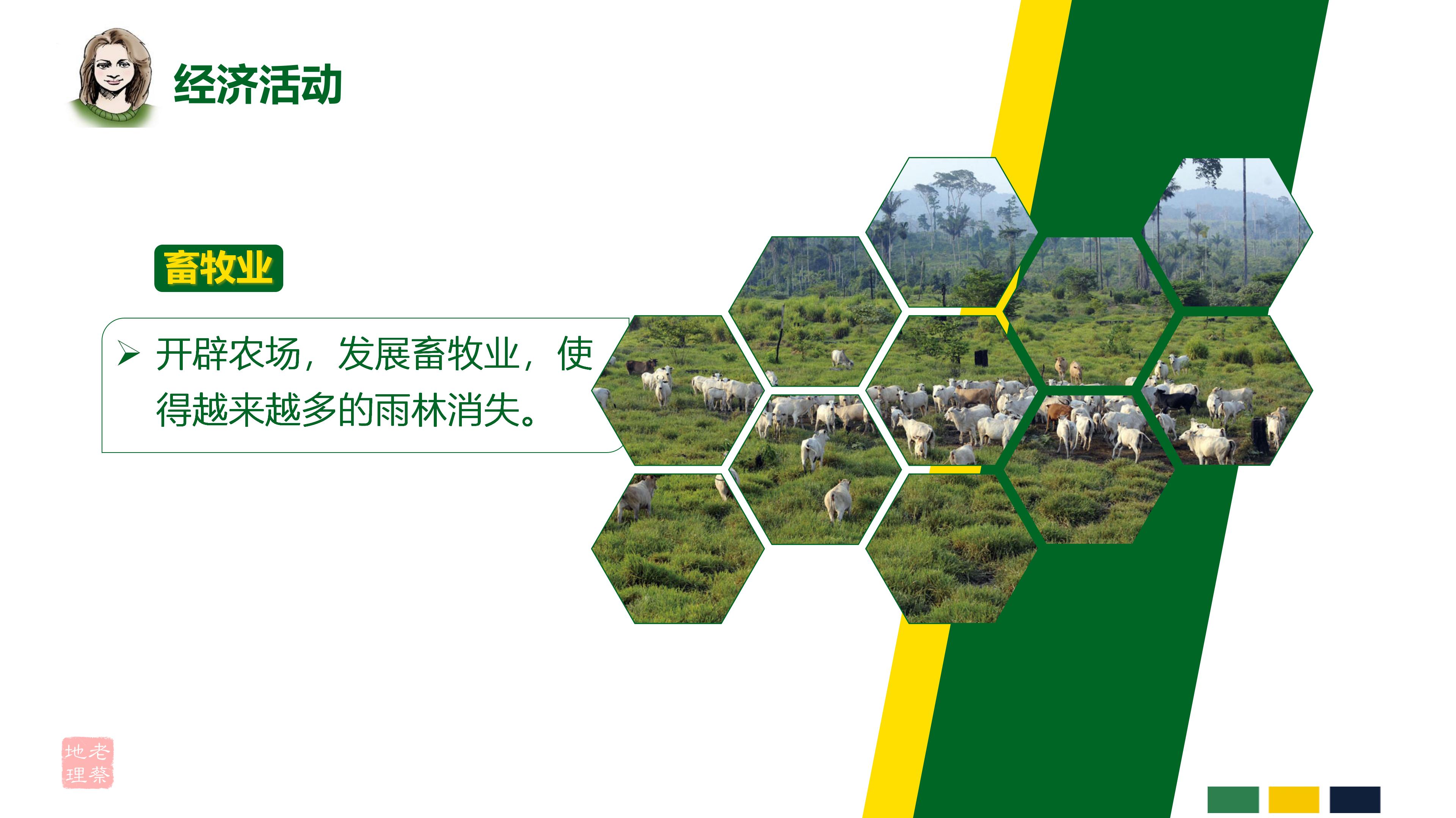 初中地理巴西知识点思维导图,七年级下册地理巴西教案人教版