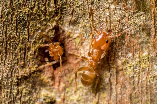 房子漏了用什么补,房子漏个洞怎么补